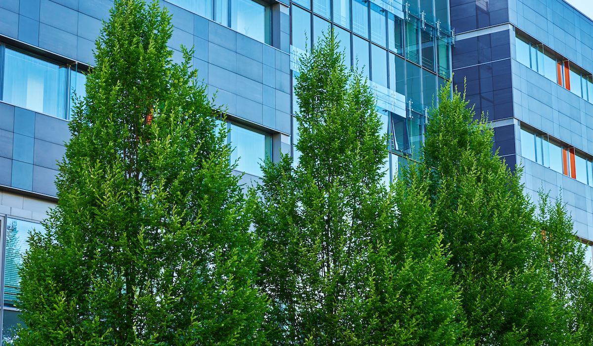 Modern office building with green trees